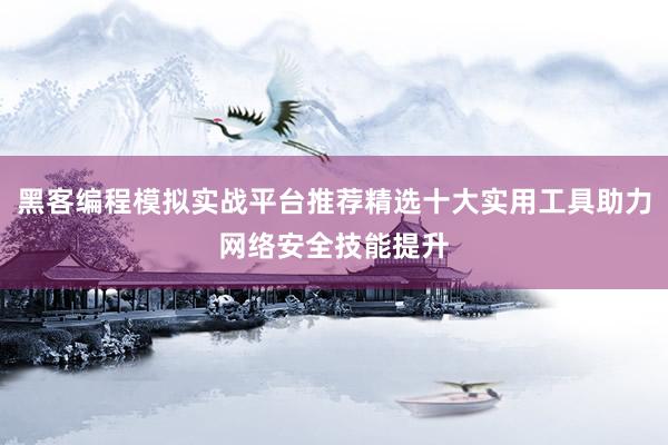 黑客编程模拟实战平台推荐精选十大实用工具助力网络安全技能提升